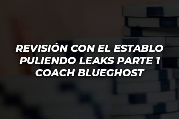 REVISIÓN CON EL ESTABLO PULIENDO LEAKS PARTE 1 COACH BLUEGHOST